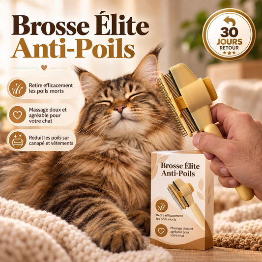 🐾 Brosse Élite Anti-Poils pour Chiens & Chats | Nettoyage en 1 Clic