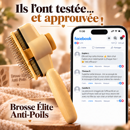 🐾 Brosse Élite Anti-Poils pour Chiens & Chats | Nettoyage en 1 Clic