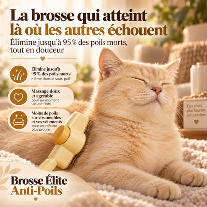 🐾 Brosse Élite Anti-Poils pour Chiens & Chats | Nettoyage en 1 Clic