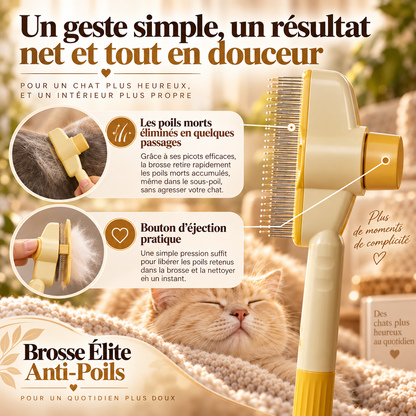 🐾 Brosse Élite Anti-Poils pour Chiens & Chats | Nettoyage en 1 Clic