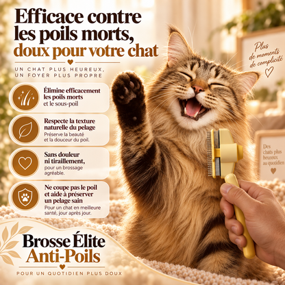 🐾 Brosse Élite Anti-Poils pour Chiens & Chats | Nettoyage en 1 Clic